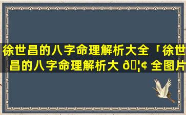 徐世昌的八字命理解析大全「徐世昌的八字命理解析大 🦢 全图片」